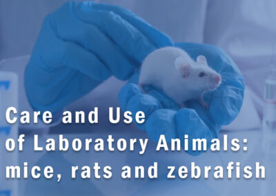 Care and Use of Laboratory Animals: mice, rats and zebrafish