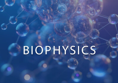 Biophysics Summer School 2025 – Pattern formation and development processes